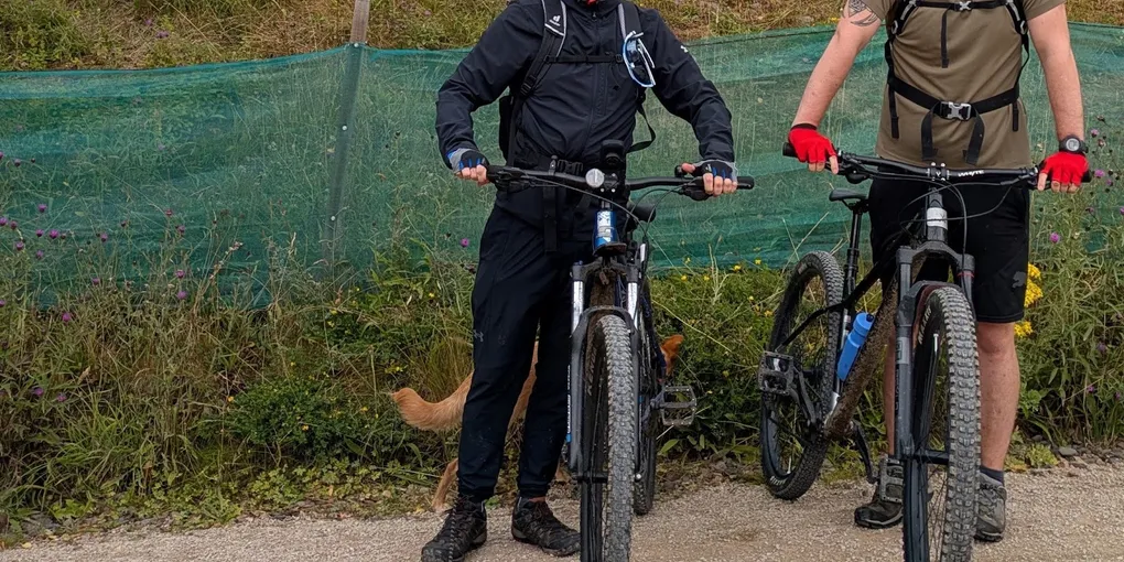 This is a little experiment and compilation of thoughts of how I felt after my concussion while mountain biking at Glentress, some reflections, learnings and the process to recover my memories.