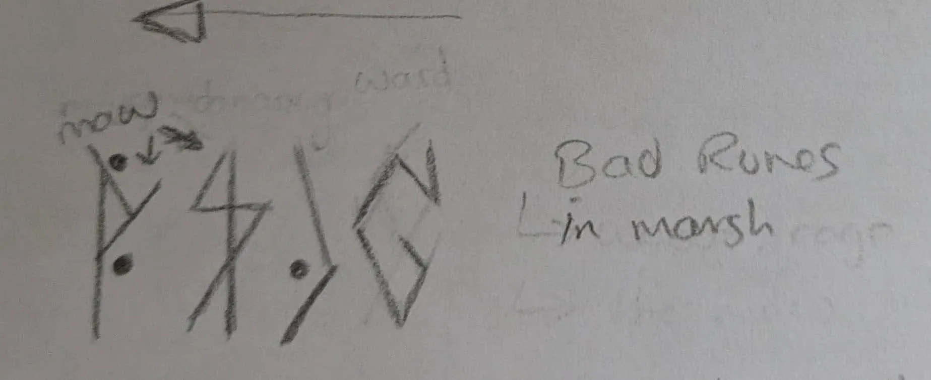 Some of the markings from the tree