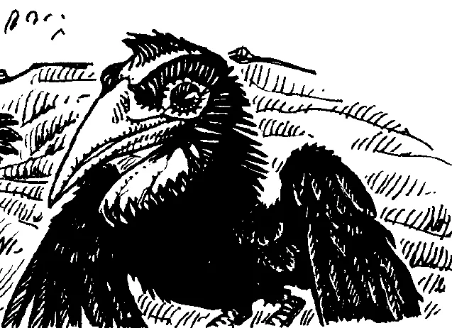 A butcherbird